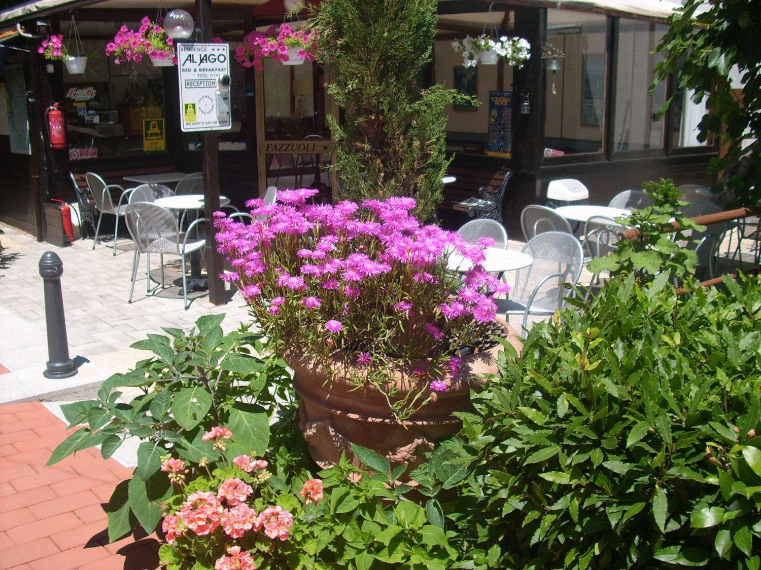 Residence Al Lago Castiglione del Lago Luaran gambar