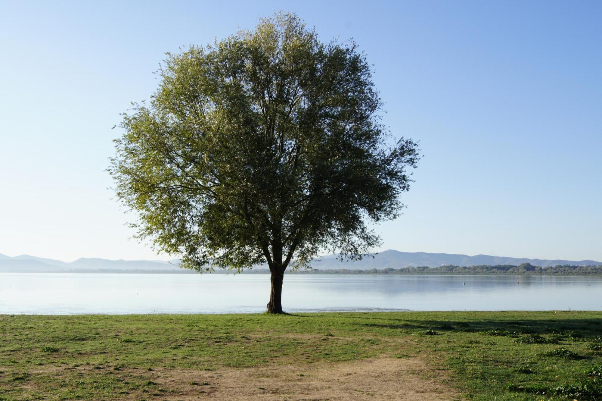 Residence Al Lago Castiglione del Lago Luaran gambar