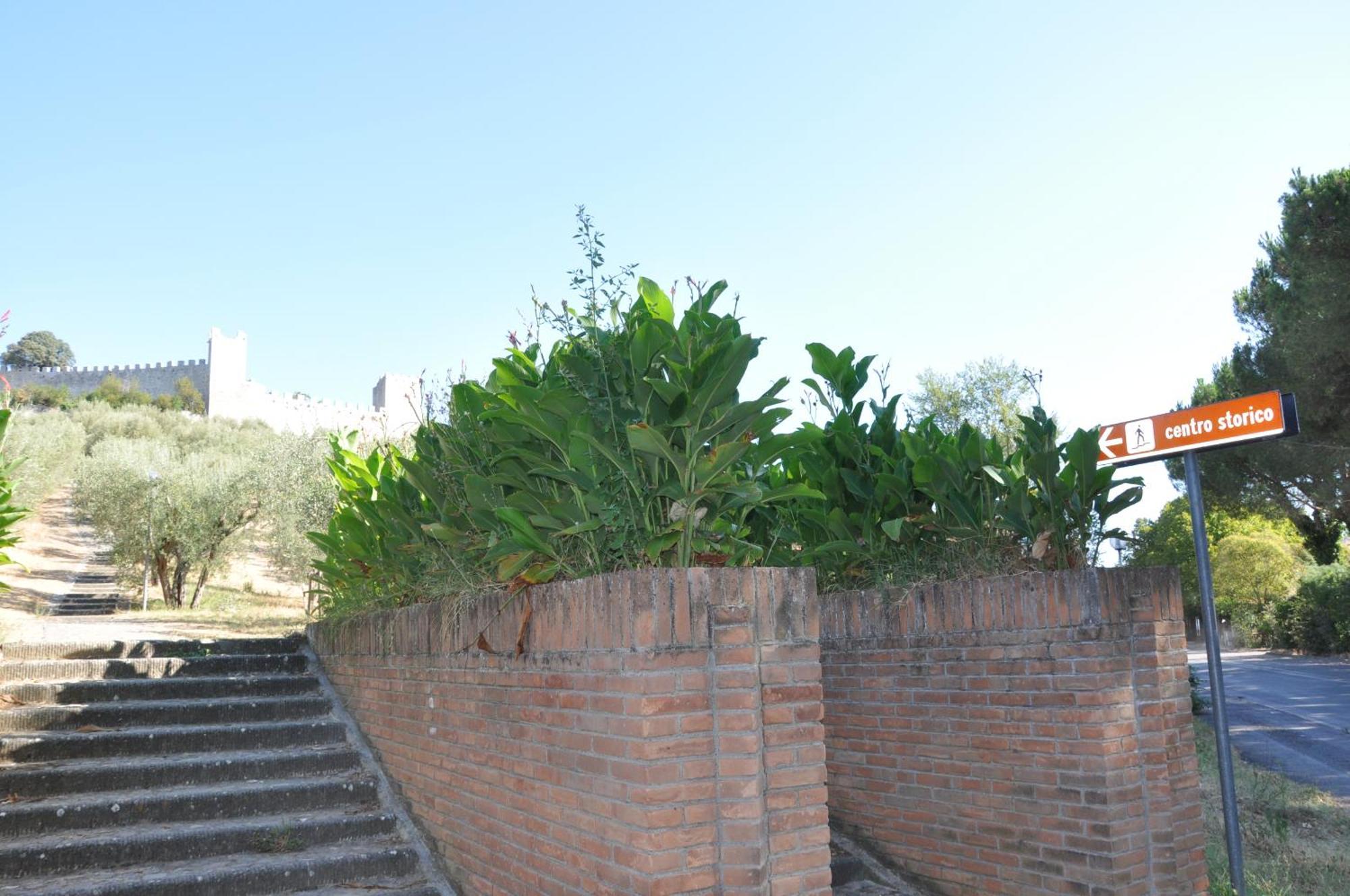 Residence Al Lago Castiglione del Lago Luaran gambar